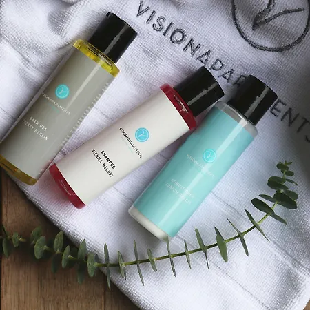 Visionapartments St Sulpice - Contactless Check-in Apartman Lausanne